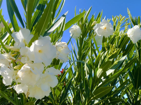 Spiritual coaching Franziska Heyde