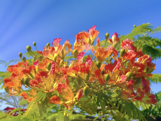 Spiritual coaching Franziska Heyde